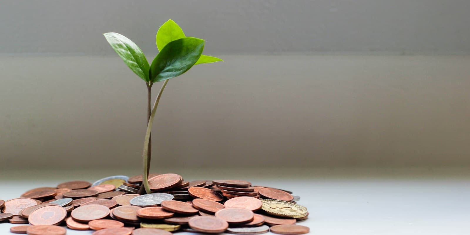 Épargne retraite, tirelire et économies